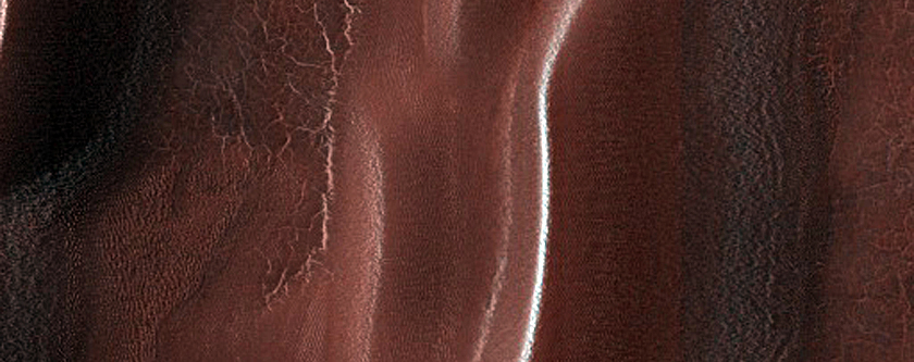 Monitor Changes in Richardson Crater Dune Field