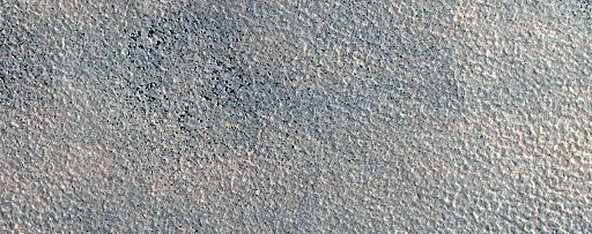 Dark Filamentary Streak Seasonal Monitor Site on Northern Plains