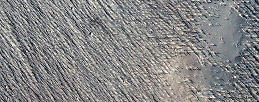 Candidate Recent Impact Site