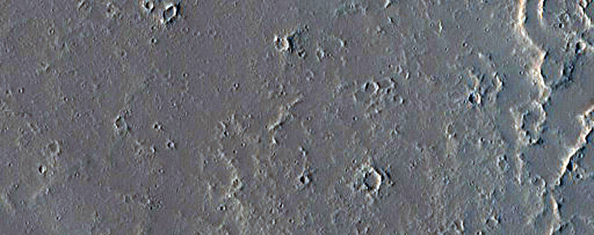 Branching Fracture East of Olympus Mons