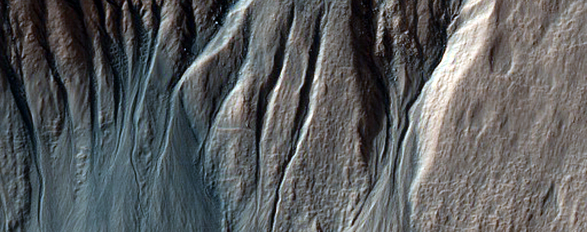 Fresh-Looking Gullies