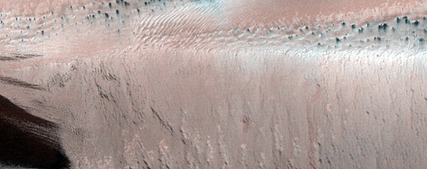 Monitoring Defrosting in Linear Dune Gullies in Galle Crater