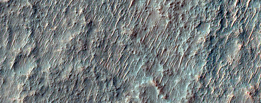 Possible Chloride-Rich Terrain in West of Eridania Planitia