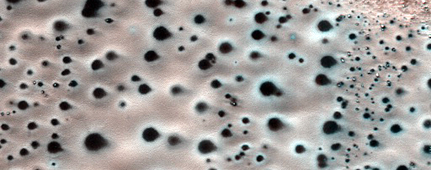 Confined Dune with Seasonal Activity