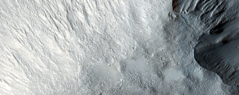 Southern Margin of Athabasca Valles