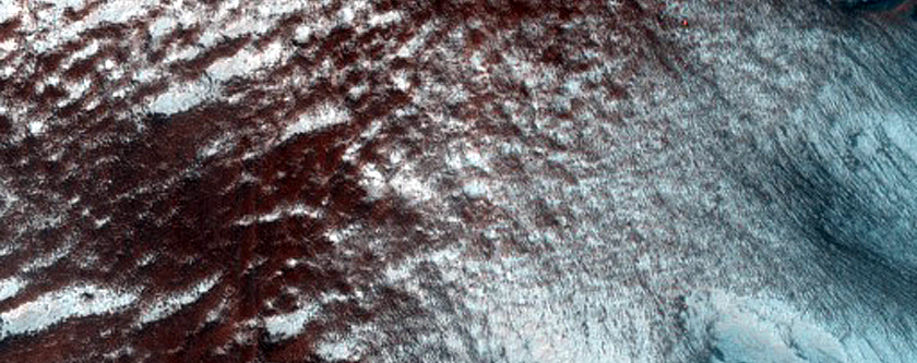 Gully Frost Monitoring