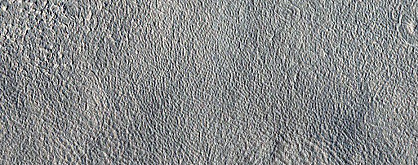 Knobs in Arcadia Planitia