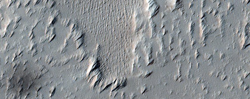 Candidate Recent Impact Site