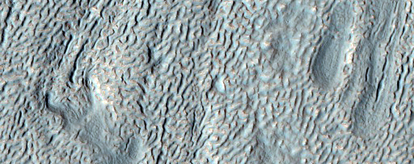 Viscous Flow Feature