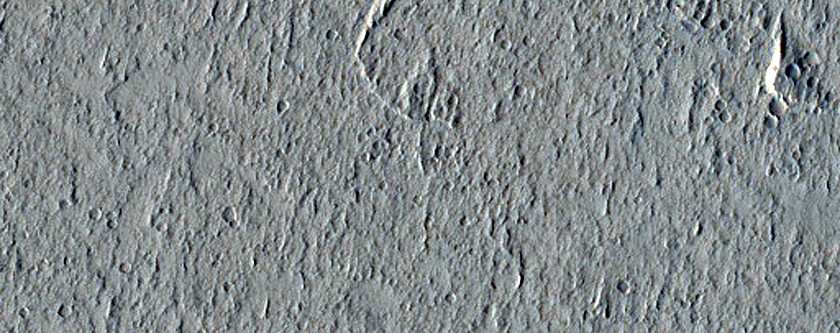 Amazonis Planitia