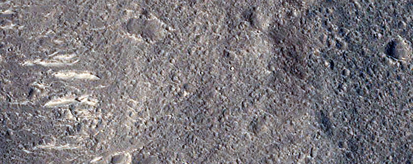 Possitive Relief Feature in Nepenthes Planum