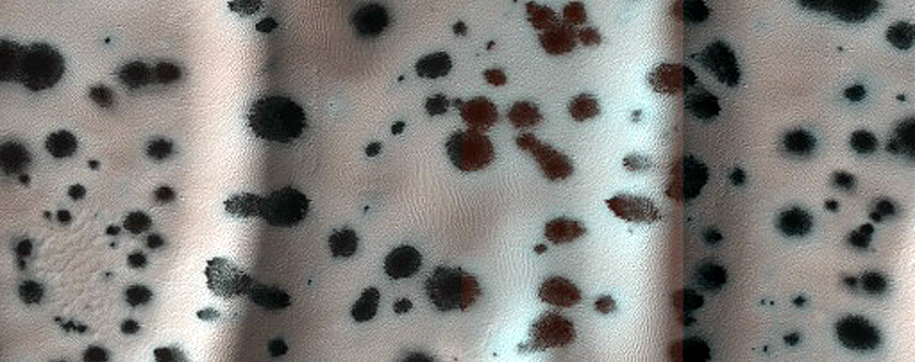 Oval Dune Field in Crater