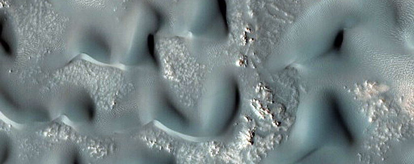 Dune Monitoring in Crater