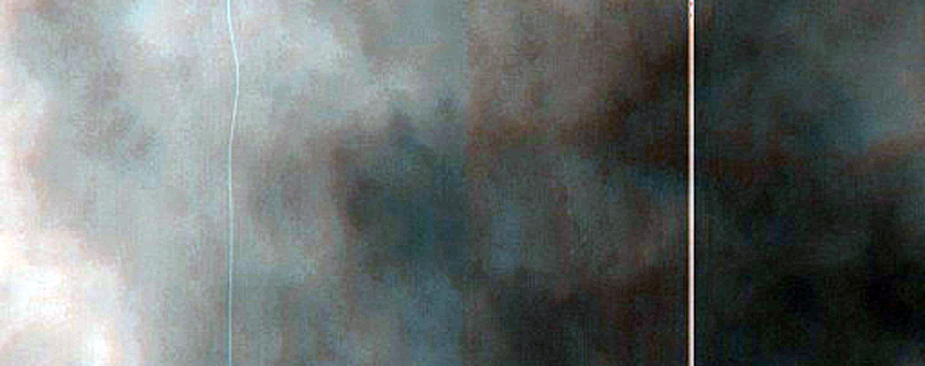 Dune Gully Monitoring in Proctor Crater