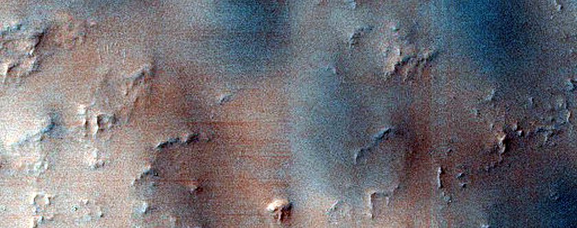 Dome and Barchan Dunes in Newton Crater