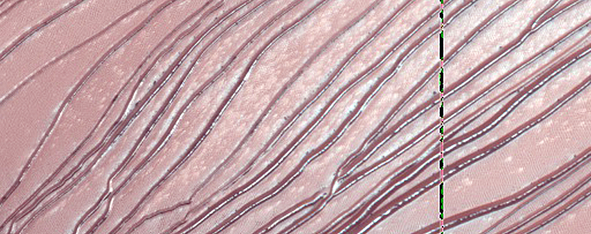 Russell Crater Megadune Defrosting Processes