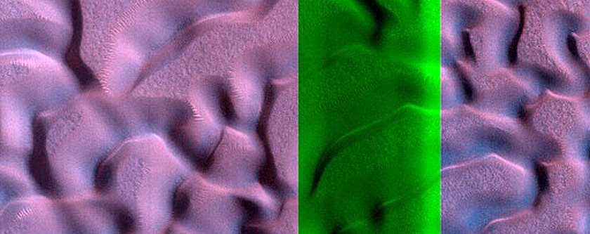 Dune Field Activity Monitoring