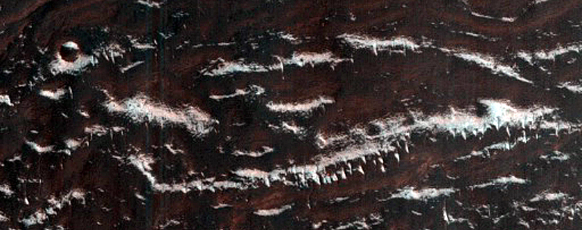 Monitoring Linear Dune Gullies in Green Crater Dune Field