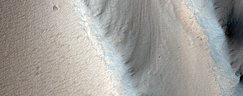 Terrain Sample