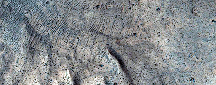 Baetis Chasma Transect