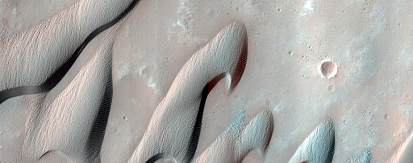 Herschel Crater East Dune Monitoring