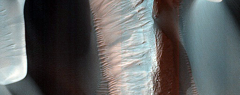 Nereidum Montes Dune Monitoring Defrost