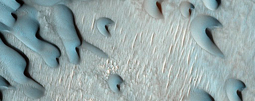 Dune Monitoring in Lyot Crater