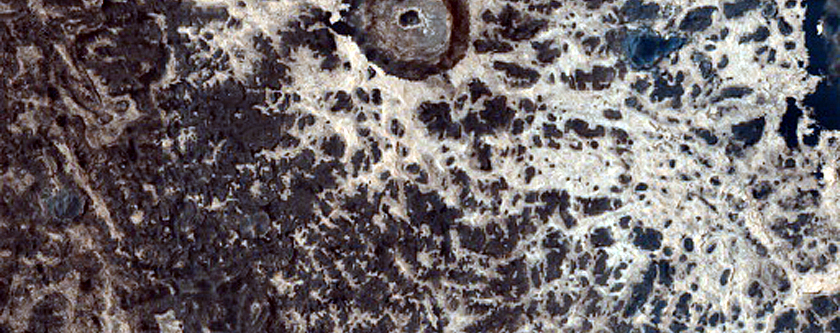 Exposed Crater Floor Materials in Western Arabia Terra