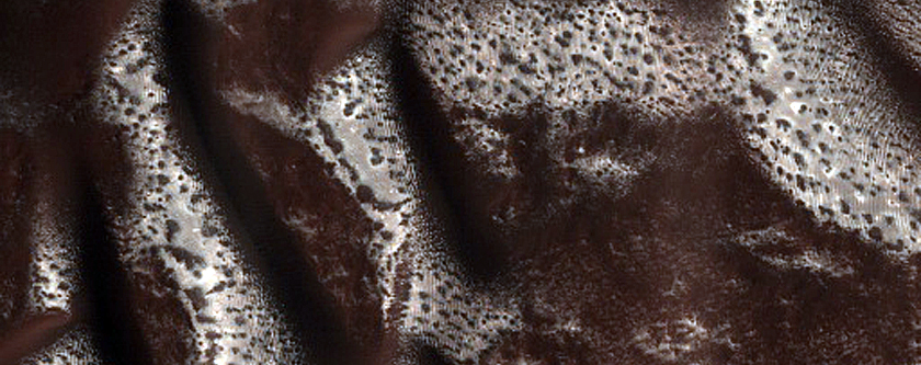 Monitoring Linear Dune Gullies near Brashear Crater