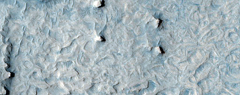 Mottled Ridged Terrain