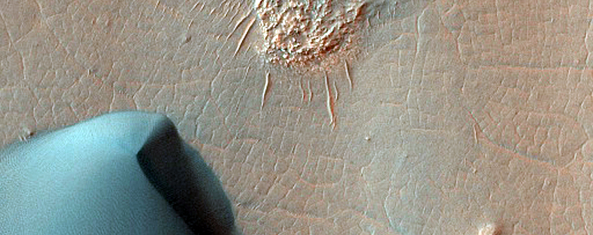 Dune Field in Wirtz Crater