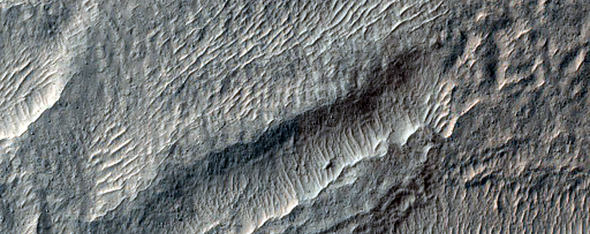 Volatiles and Gullies