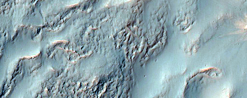 Fan in Terra Cimmeria