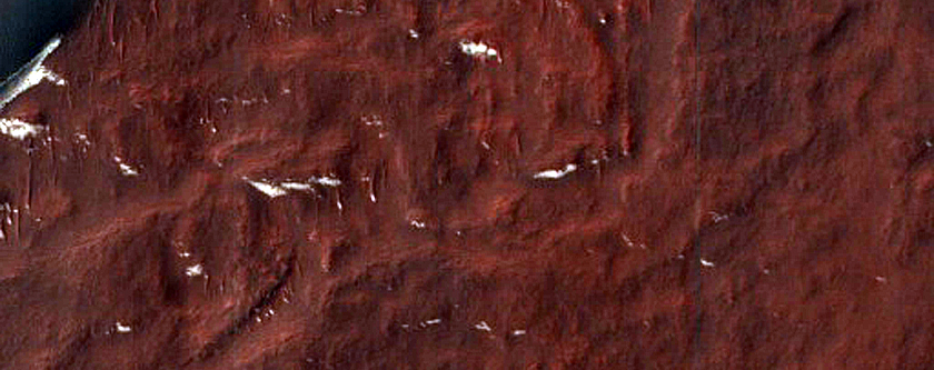 Monitoring Linear Dune Gullies in Green Crater Dune Field