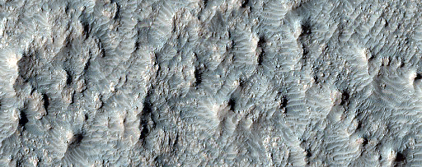 Mafic Minerals in Bedrock on Eastern Floor of Muller Crater