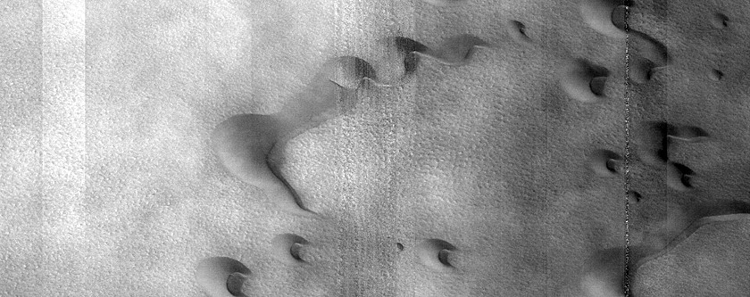 Polar Barchan Changes