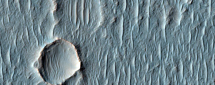 Spectrally Distinct Crater Floor in Terra Sirenum