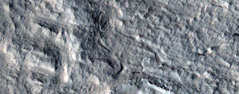 Monitoring New Impact Site