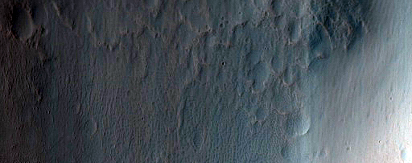 Gullies in Crater in Terra Sirenum