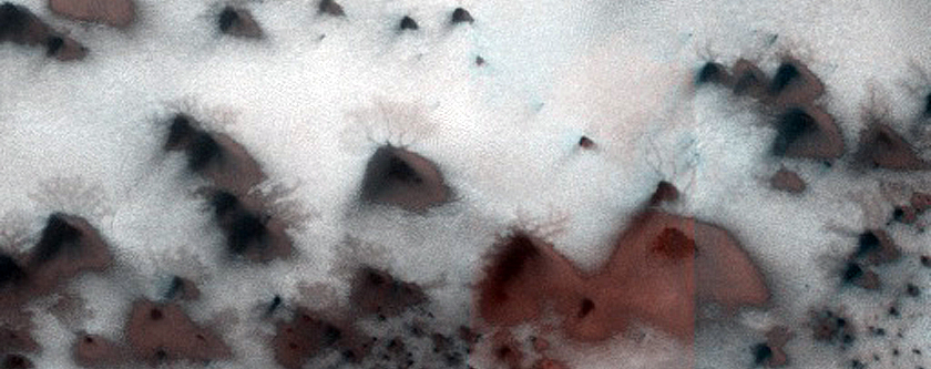 Dune Field with Araneiforms