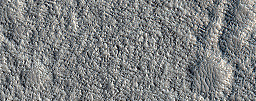 Amazonis Planitia