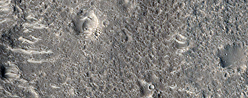 Positive Relief Feature in Nepenthes Planum