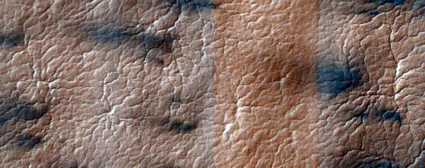 Classic Araneiform in Region Dubbed Manhattan