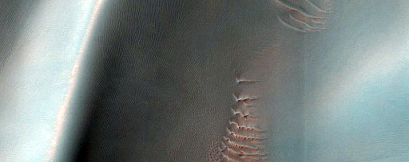 Proctor Crater Dune Defrosting