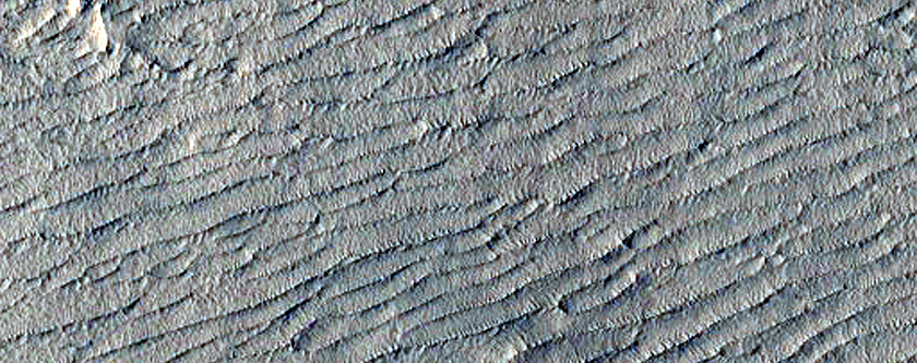 Changing Dust Boundary on Olympus Maculae