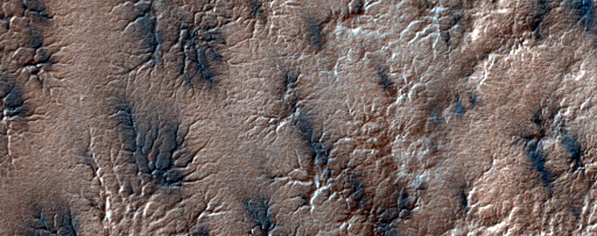 Site Dubbed Bilbao Monitoring