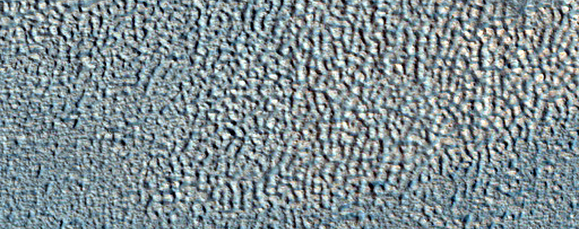 North Arabia Terra Monitoring Site