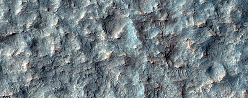 Surface Diversity in Basin