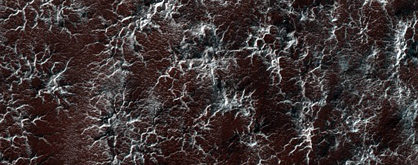 Site Dubbed Bilbao Monitoring