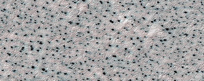 Site Dubbed Wellington